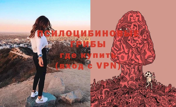 соль ск Приозерск