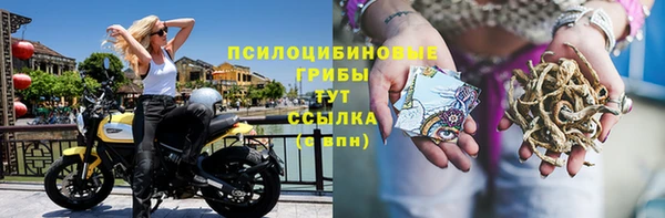 гидра Протвино